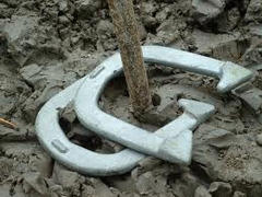 Horseshoe Game Horseshoe Game