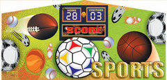 Sports Panel Sports Panel
